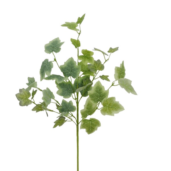 Grape Ivy Pick 21”, Greenery Filler Stems for Wreaths or Crafts, Floral Embellishments, Floral Wedding Supply 62914