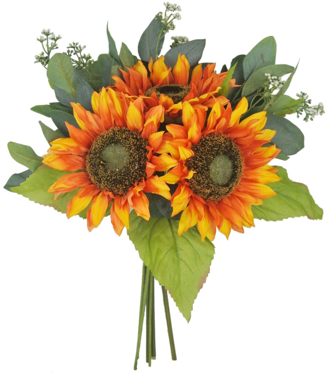 sunflower専用 Amazon.com : TomorrowSeeds - Ruby Eclipse F1 Sunflower Seeds