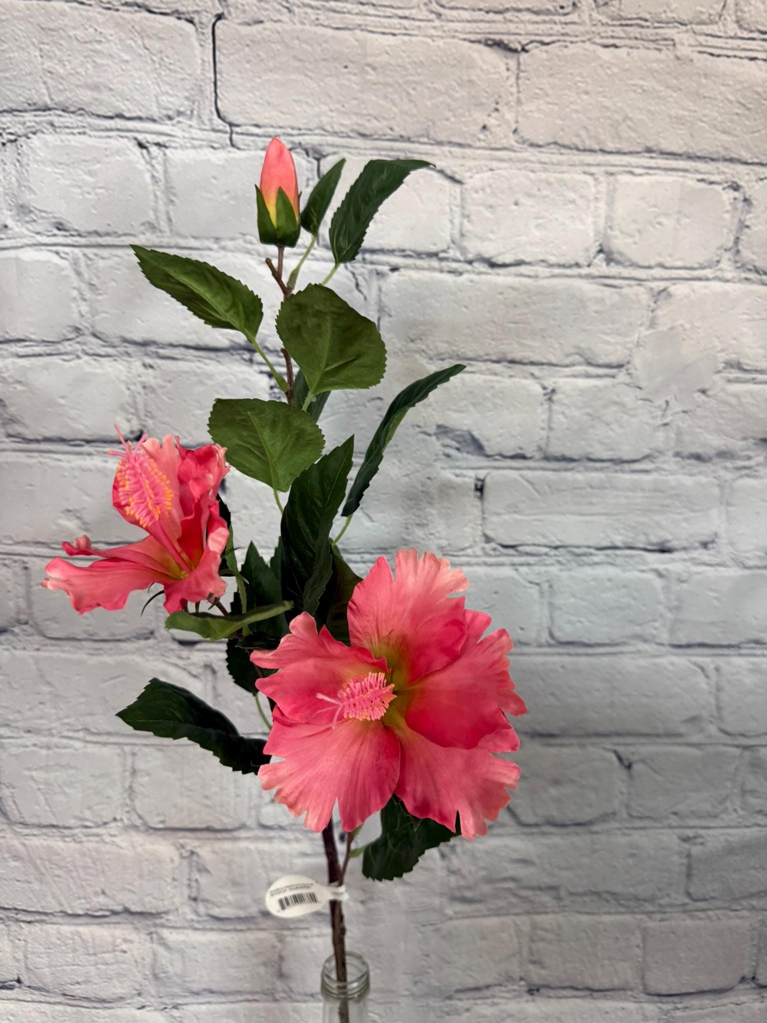 Hibiscus Spray, Salmon Peach, 29” With 2 Flowers & 1 Bud, Tropical