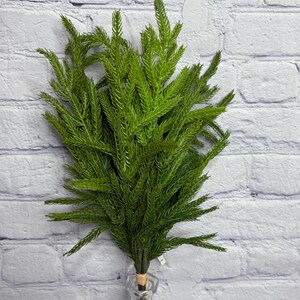 May include: A bundle of vibrant green artificial fern stems. The faux foliage has a dense, textured appearance, with many small, needle-like leaves. The stems are bound together with a natural-colored twine, and are displayed in a clear glass vase.