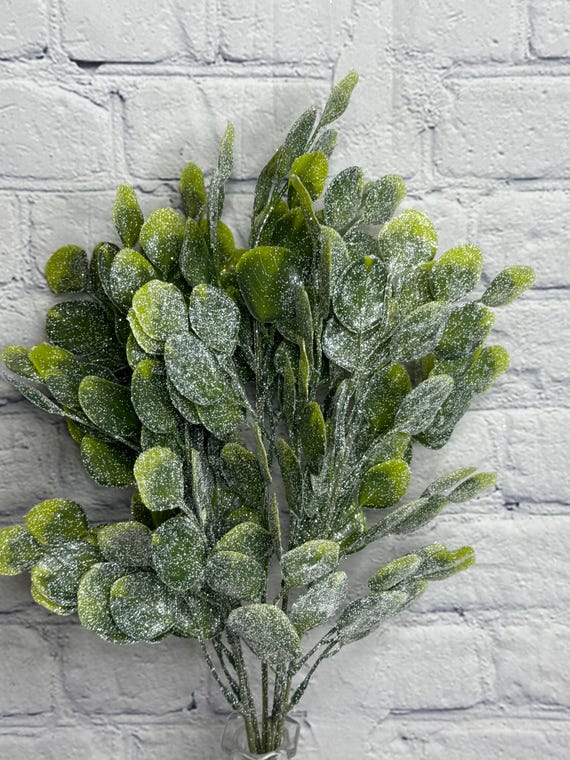 Iced Eucalyptus Bush19” x 5, Mix Greenery Bush Vase Filler, Winter Stem Wreath Embellishment Supply, Floral Supply, 83232