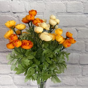 Ranunculus