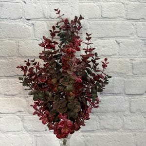 Eucalyptus Red and Green Bush X 7 21&quot;, Fall Greenery Wreath Embellishment Supply, Floral Supply, 83190-RD
