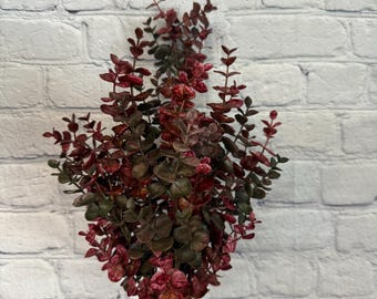Eucalyptus Red and Green Bush X 7 21", Fall Greenery Wreath Embellishment Supply, Floral Supply, 83190-RD
