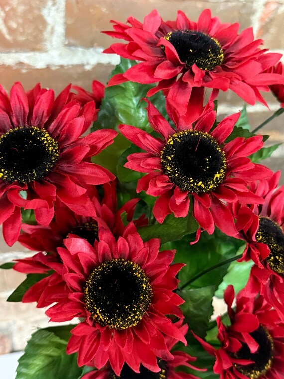 Red Sunflower, Satin Sunflower Bush, 17