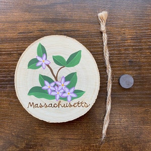 Massachusetts State Flower Painting on Wood Round - magnet or hanging ornament