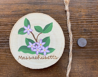 Massachusetts State Flower Painting on Wood Round - magnet or hanging ornament
