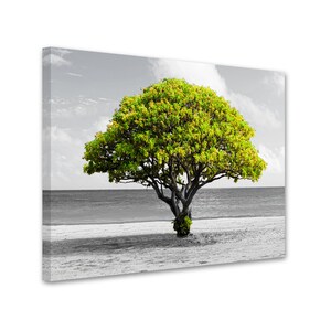 Large Tree on Beach with Green Leaves Canvas. Black & White Background. Nature. Wall Art Giclee Fine Art Canvas Print