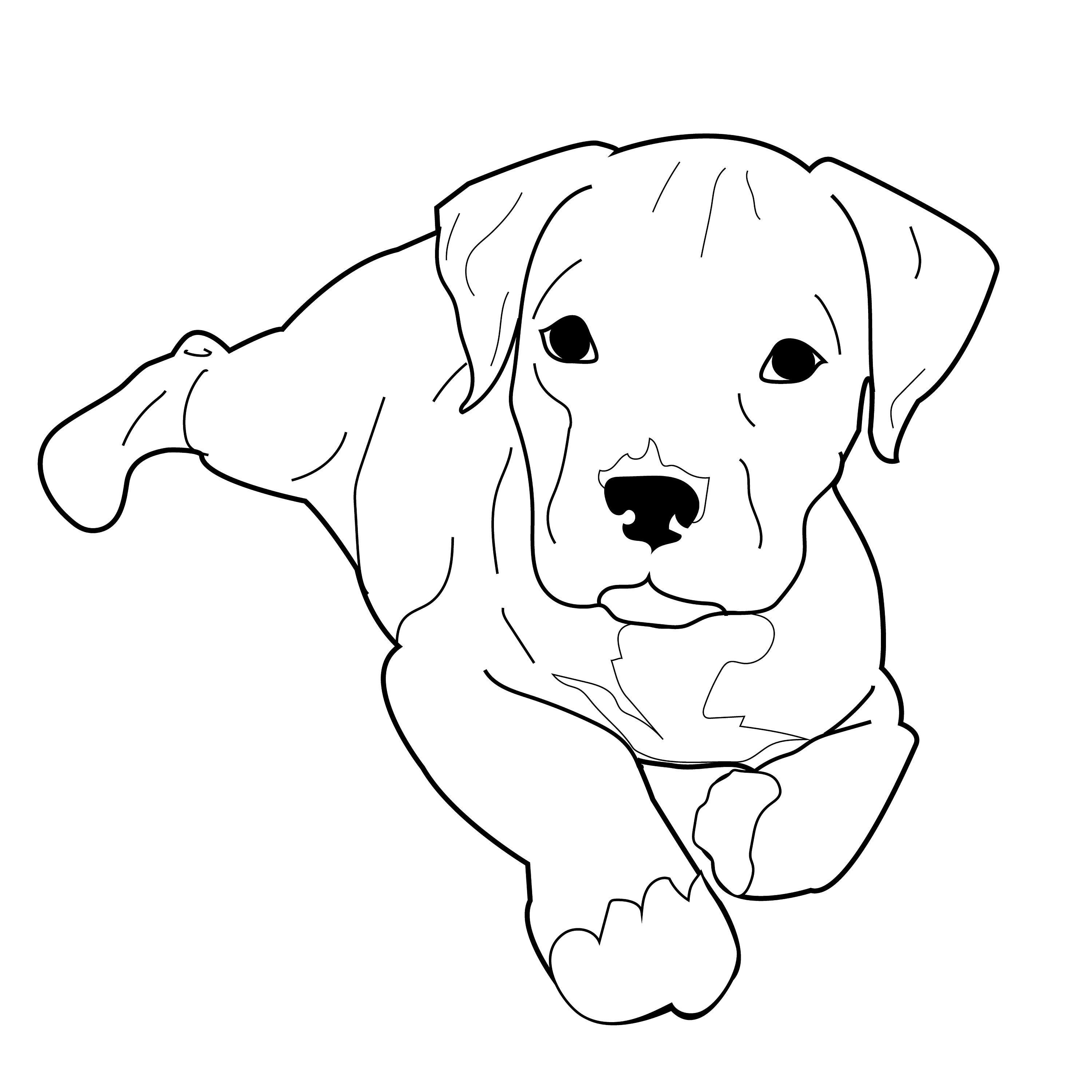 Pitbull Puppy Vector Dog Illustration EPS Cute Animal PNG | Etsy UK