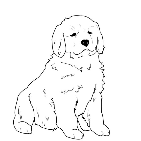 Cute Golden Retriever Puppy Coloring Pages Lucas Mafaldo