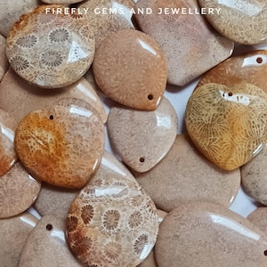 Drilled Fossil Coral Jasper Cabochons: Mixed Shapes & Sizes
