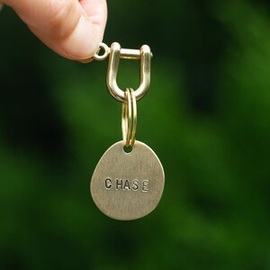 May include: A brass dog tag with the name "CHASE" engraved on an oval-shaped tag. The tag is attached to a brass clasp and a key ring. The background is a blurred green.