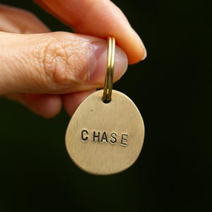 May include: A gold-coloured pet tag with the name "CHASE" stamped on it. The tag is oval-shaped with a small loop at the top for attaching to a collar. The tag is held by a person's fingers.