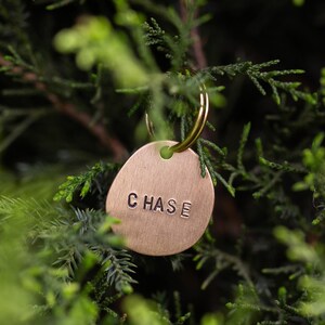 May include: A brass pet tag with the name "CHASE" stamped on it. The tag is oval-shaped and attached to a gold-coloured ring. The background is a blurred view of green foliage.