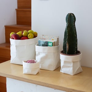 May include: Four white, flexible, paper-like storage bags of varying sizes. One bag holds yellow and red fruits, one contains books with text including '去公园和野外', one holds a small red and white yarn ball, and one contains a tall green cactus in a brown pot.