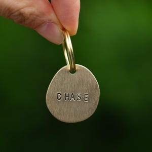 Op de afbeelding: Een messing hondenpenning met de naam "CHASE" in hoofdletters gegraveerd. De penning is ovaal van vorm en bevestigd aan een goudkleurige ring. De achtergrond is een vage groene kleur.