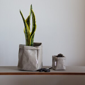 Könnte beinhalten: Zwei graue Papier-Pflanztöpfe, einer groß und einer klein, stehen auf einem Regal. Der größere Topf enthält eine Bogenhanf-Pflanze mit gelb-grünen Blättern. Ein kleiner Tannenzapfen liegt im kleineren Topf. Eine Schere liegt neben den Töpfen.