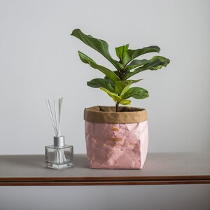 May include: A small green plant with large leaves in a pink paper bag planter. The planter has the text "Sunkissed" and "Passionfruit Jungle" printed on it. A clear glass bottle with a silver cap and white sticks is on a grey surface.