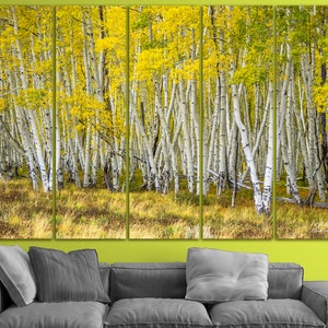 Birch tree canvas Woodland decor Birch forest art Aspen tree art Birch grove print Wood canvas Gift to the wife decor Grove poster