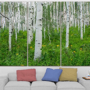 Birch tree canvas Woodland decor Aspen tree art Birch grove print Birch forest art Wood canvas Gift to the wife decor Grove poster