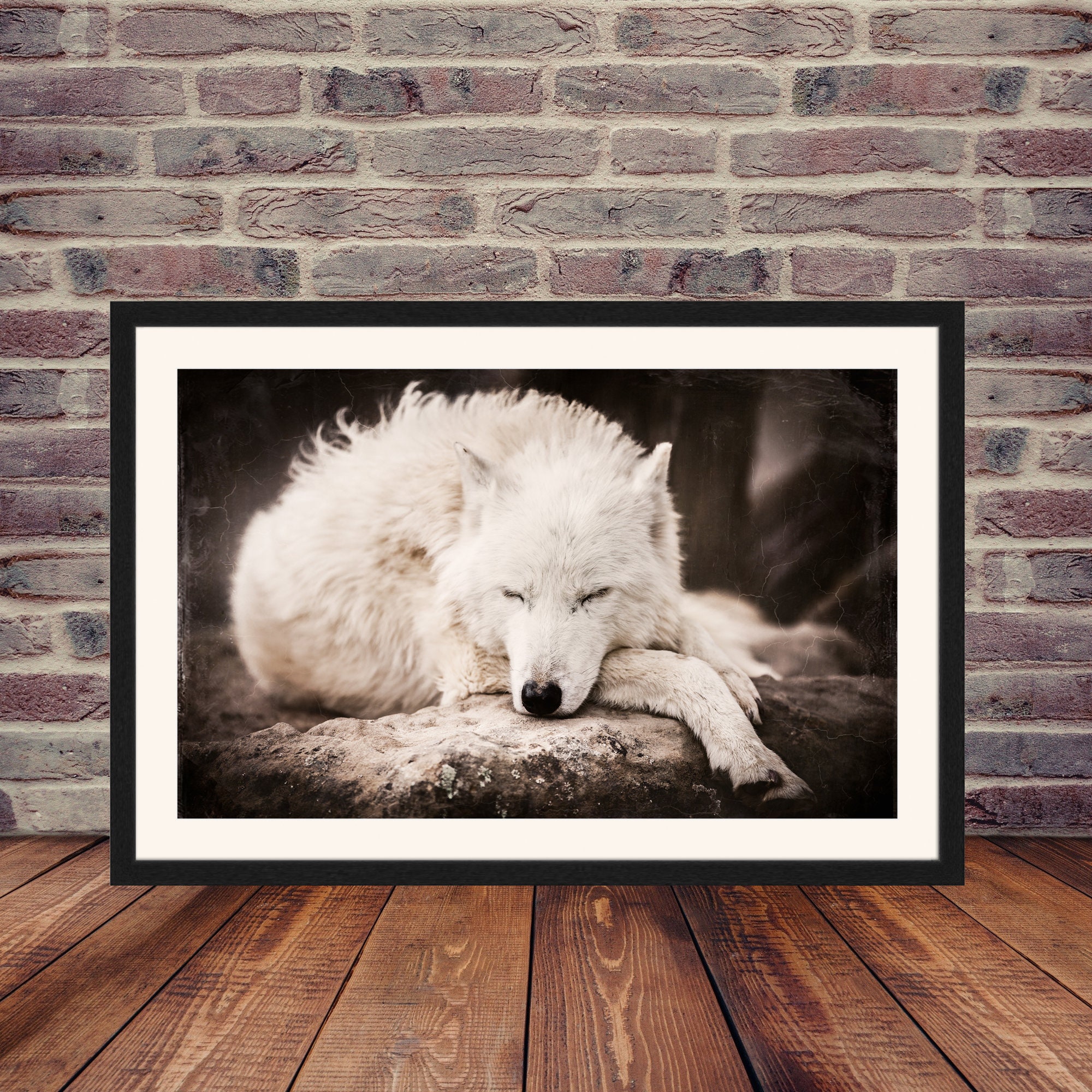 Wildlife Photography Prints Wild Spirit Wolf Sanctuary Arctic | Etsy
