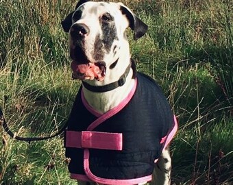 Great Dane female -READY MADE- padded Triple Layer Warm Waterproof Coat - Read  Size info - Black & Pink Trim