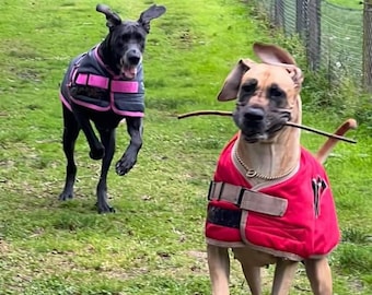 Great Dane\Wolfhound - READY MADE -Red & Beige PADDED Triple Layer Warm Waterproof Coat - Read  Size info