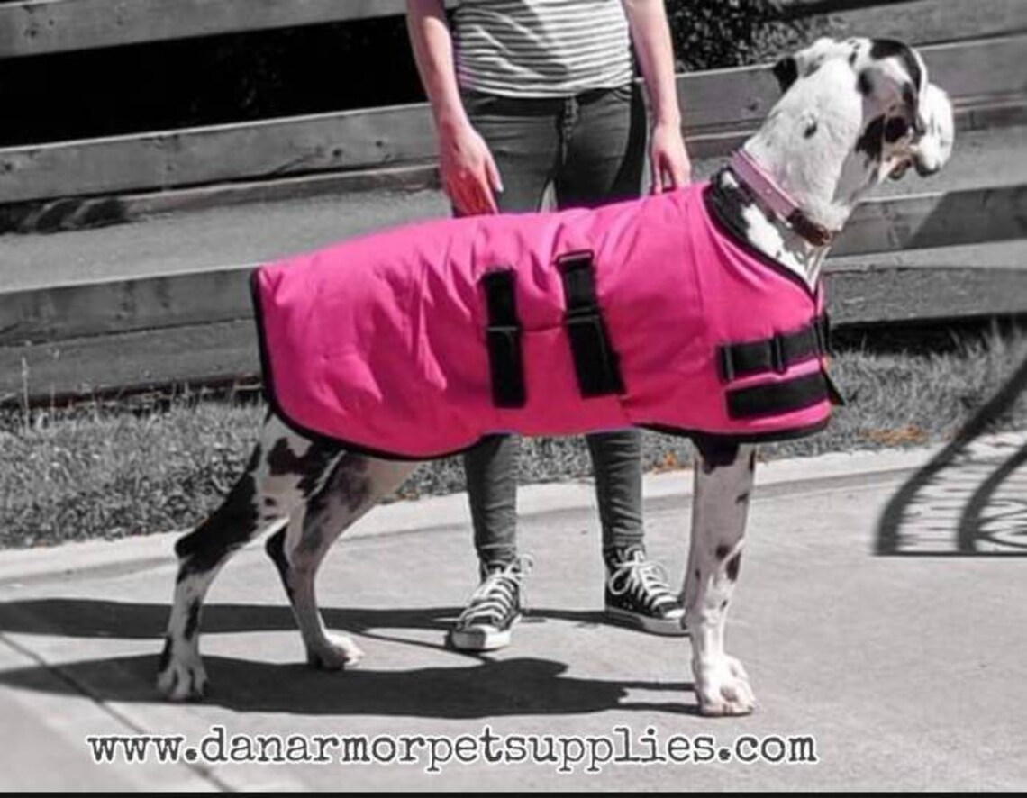 Great Dane Triple Layer Waterproof Coat Pink & Black Etsy