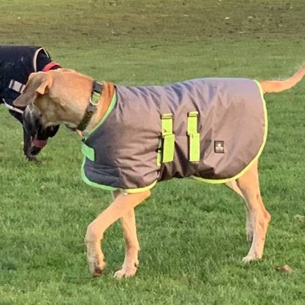 Great Dane Coat Etsy