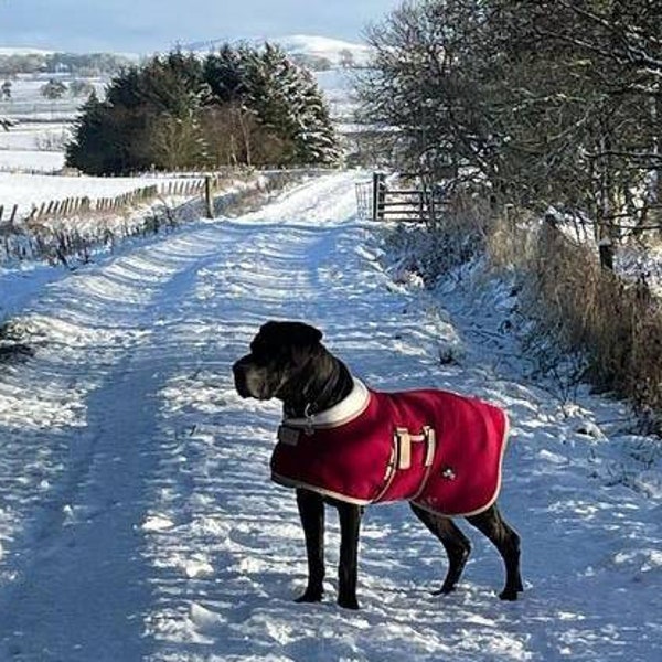 Great Dane Coat Etsy