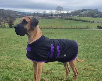 Great Dane READY MADE - Padded Warm Waterproof Coat - Black & Purple