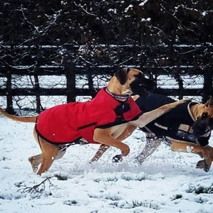 Great Dane READY MADE Padded Waterproof Triple Layer Warm Winter