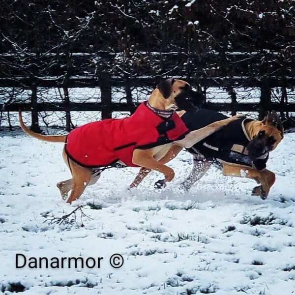 Great Dane Coat Etsy