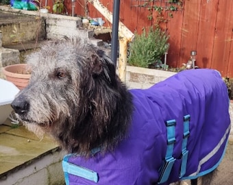 Wolfhound AND St. Bernard  Female size  READY MADE Waterproof Coat - Purple & Pink (90cm)