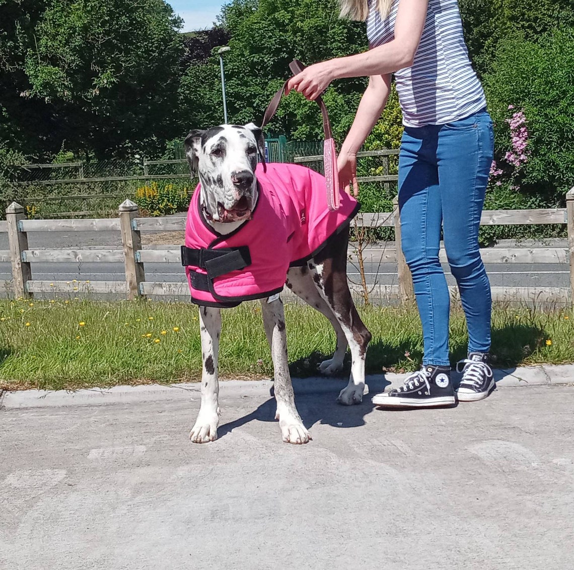 Great Dane Triple Layer Waterproof Coat Pink & Black Etsy
