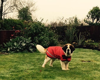 St Bernard -READY MADE - Coat Winter Waterproof, Insulated, Lined