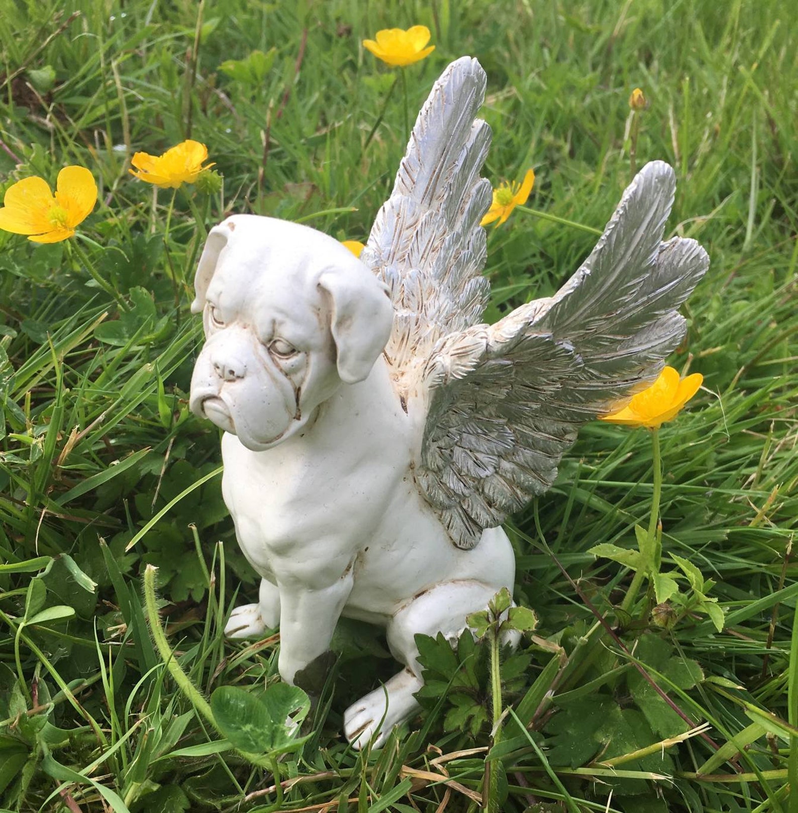 Boxer Dog 1 Memorial Angel With Wings Rainbow Bridge Etsy Ireland