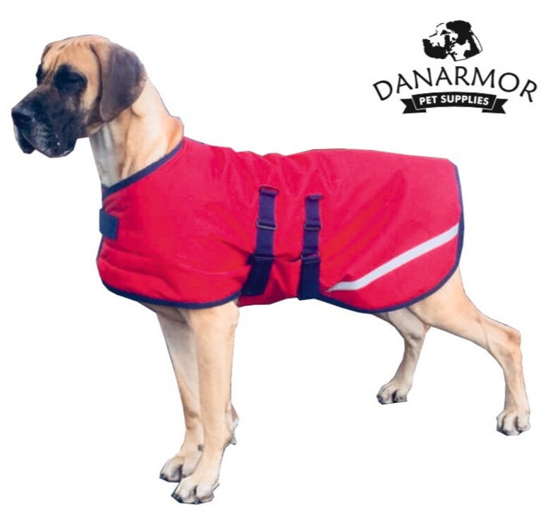 Great Dane Triple Layer Waterproof Coat Red & Black Etsy