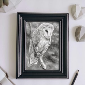 Barn Owl Portrait - Owl Art Print - Original - Bird Art - Animal Art - Fine Art - Wall Art - Bird - Home Decor - Owl Painting