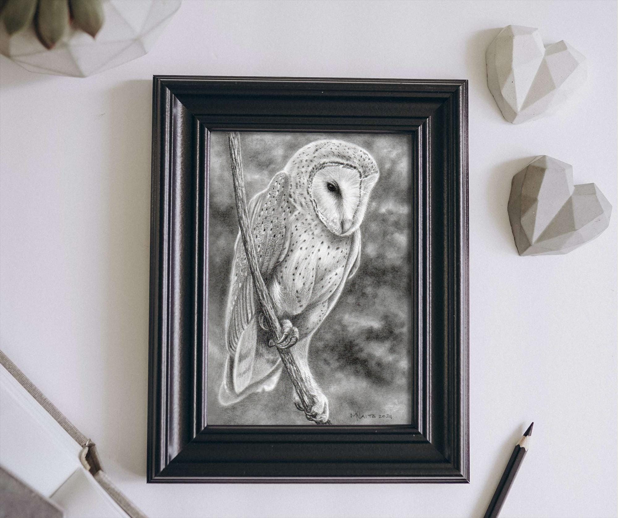 Barn Owl Portrait - Owl Art Print - Original - Bird Art - Animal Art - Fine Art - Wall Art - Bird - 