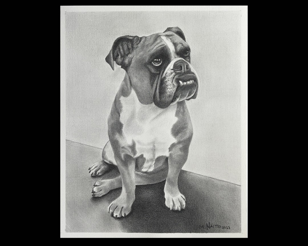 Hand Drawn Pet Portrait – Custom Graphite Art, Pet Memorial Gift - Etsy