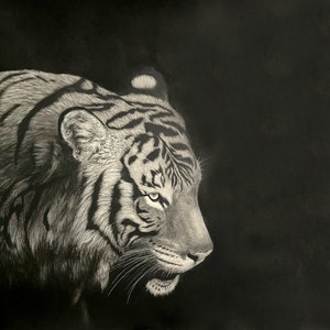 Tiger Charcoal Drawing - Tiger Portrait - Hand Drawn Tiger - Tiger Art - Charcoal Tiger - Tiger Artwork - Big Cat Drawing - Big Cat Art