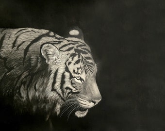 Hand-Drawn Tiger Charcoal Drawing – 18x24 Big Cat Portrait