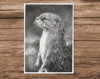 Sea Otter Pencil Drawing - Original Animal Portrait, 5x7 Unframed