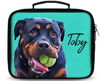 dog lunch boxes