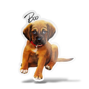 Custom Dog Stickers, Personalized Dog Sticker, Custom Pet Stickers, Pet Photo Sticker, Pet Portrait Sticker, Matte Vinyl, Water-Resistant Body