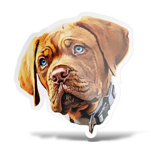 Custom Dog Stickers, Personalized Dog Sticker, Custom Pet Stickers, Pet Photo Sticker, Pet Portrait Sticker, Matte Vinyl, Water-Resistant Head Only