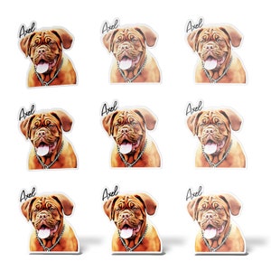 Custom Dog Stickers, Personalized Dog Sticker, Custom Pet Stickers, Pet Photo Sticker, Pet Portrait Sticker, Matte Vinyl, Water-Resistant image 7