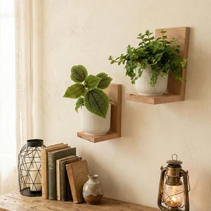 Macetero de pared | Macetero vertical | Decoración de pared para plantas | Macetero metálico de diseño