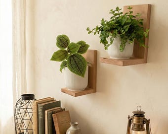 Wall-Mounted Plant Stand | Vertical Flower Pot Holder | Wall-Mounted Plant Decoration | Designer Metal Plant Holder